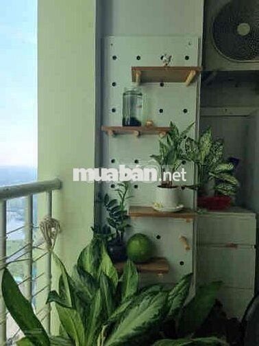 Cần bán gấp căn hộ Conic Garden 42m2 1PN, 1WC sổ hồng, giá 1,650 tỷ