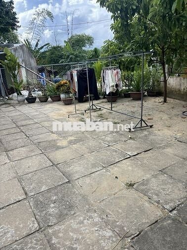 NHÀ K TRƯỜNG CHINH DT KHỦNG GIÁ RẺ