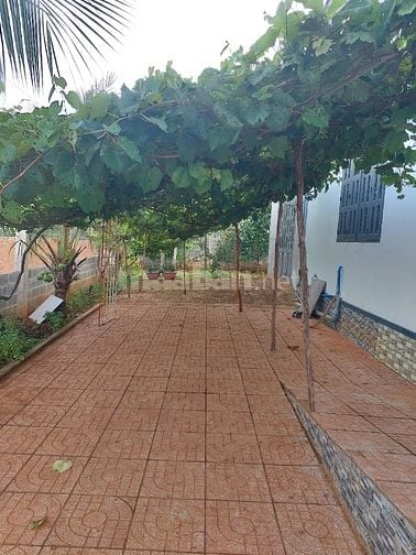 Bán biệt thự 2 mt cmt8 909 m2, 7.9 tỷ gần biển