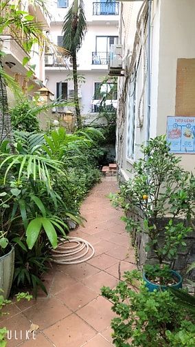 Chính chủ cho thuê Biệt Thự Nam Long 1 giá 100tr có hồ bơi 