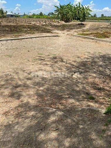 Cần Bán Đất Xã Bình Phục Nhứt, Chợ Gạo, Tiền Giang, DT 2.003 m²