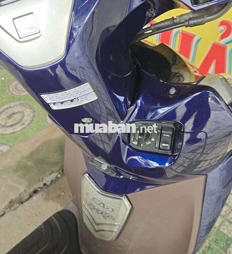 LEAD 125 CC HONDA CHÍNH HÃNG
