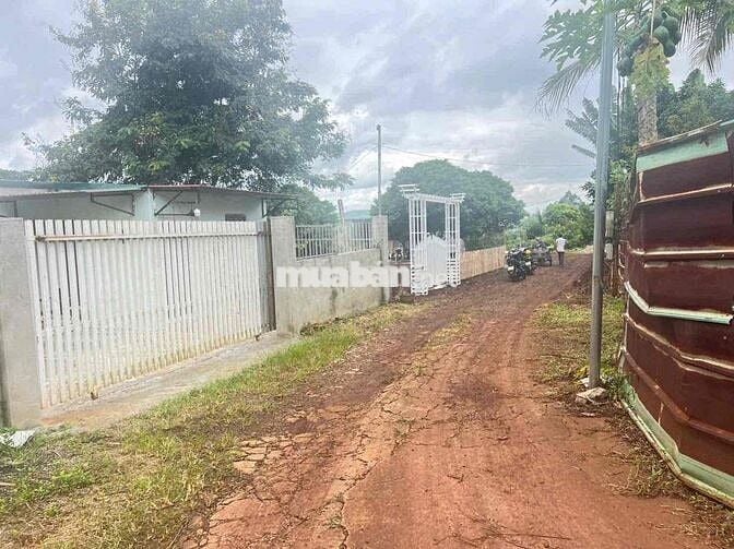 🏳️‍🌈 LÔ ĐẤT 2 MẶT TIỀN ĐỒI THÔNG 19/5 🏳️‍🌈