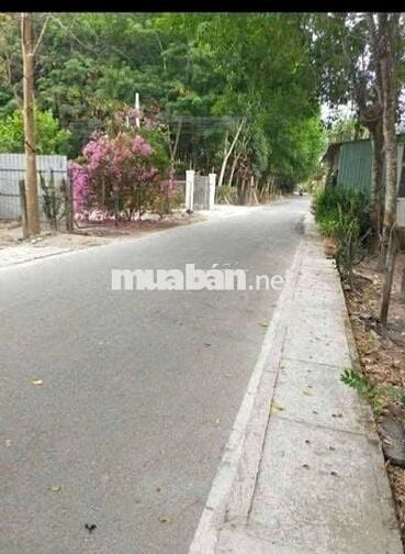 Chủ bán đất mặt tiền đường DX 92 Hiệp An , gần ql13,gần chợ Bưng Cầu
