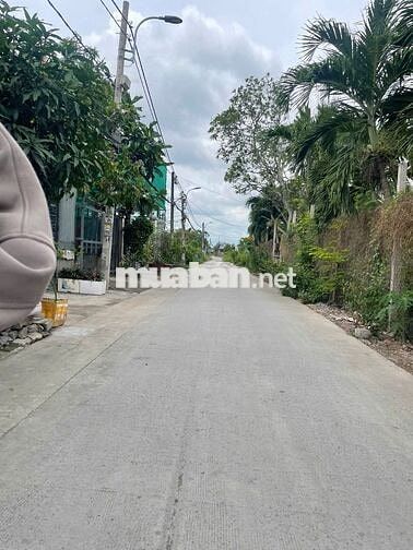 MT Phan Văn Tình , tt Thủ Thừa, thổ cư 100m2 giá 481tr. sổ riêng .