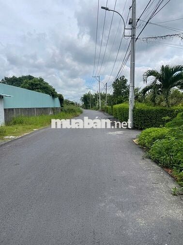 MT Phan Văn Tình , tt Thủ Thừa, thổ cư 100m2 giá 481tr. sổ riêng .