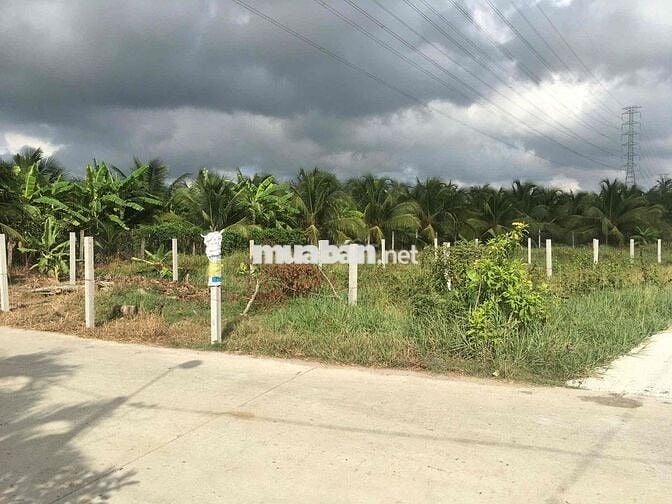 Đất full thổ 224,6m2 Nhựt Chánh