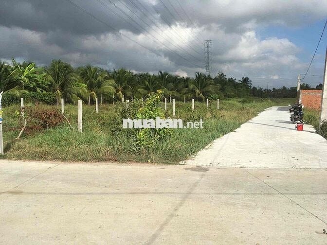 Đất full thổ 224,6m2 Nhựt Chánh