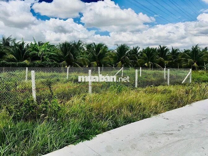Đất full thổ 224,6m2 Nhựt Chánh