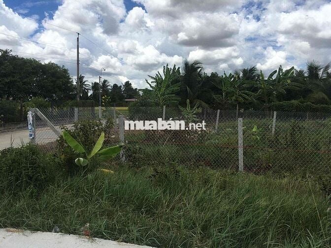 Đất full thổ 224,6m2 Nhựt Chánh