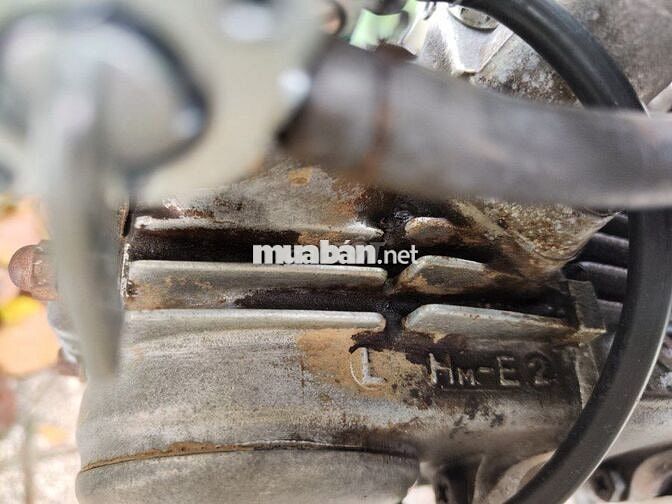 CUP CÁNH ÉN 50 RIN NGUYÊN, ĐỒ RIN NHIỀU