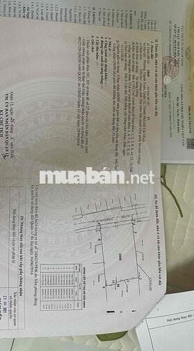 Đất thổ 249m2 - Tx24- xây biệt thự, nhà xưởng, căn hộ dịch vụ.