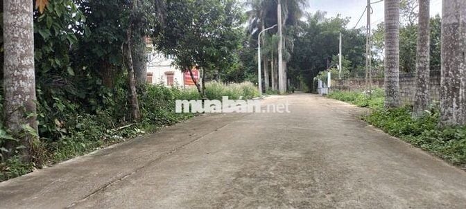 Em xin được lô đất ngoại giao giá tốt