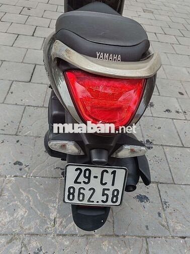 Janus 2020 biển Hà Nội