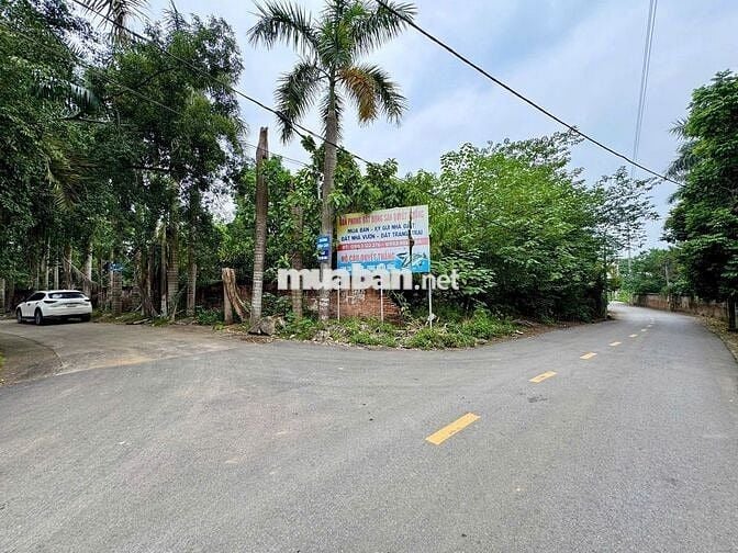 Em xin được lô đất ngoại giao giá tốt