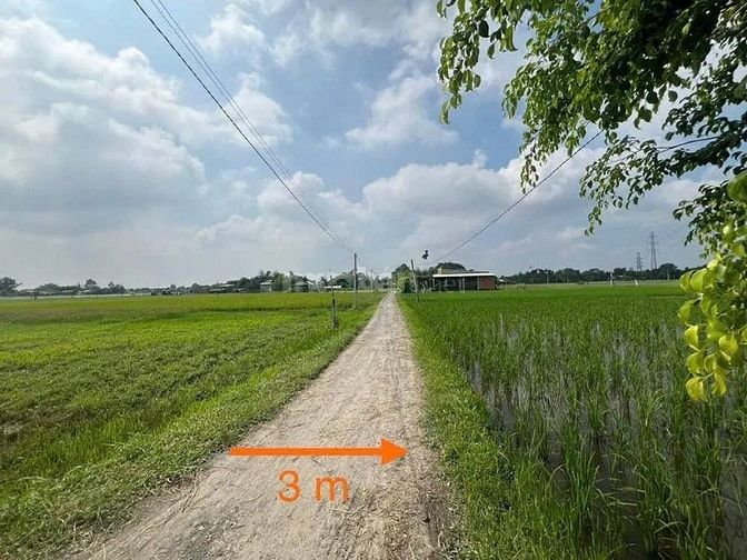 Công ty Đấu giá hợp danh Lam Sơn Sài Gòn THÔNG BÁO ĐẤU GIÁ TÀI SẢN