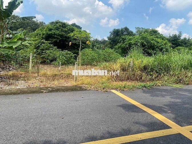 Chính chủ ngộp ngân hàng bán lô đất Bến Cát chỉ 1 tỷ 4xx, sổ riêng