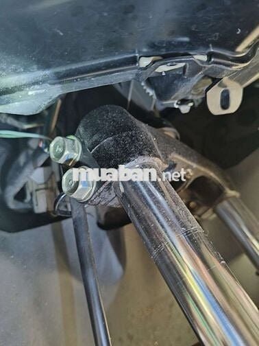 AriBlack Thái Cam Đen ( Chính Chủ Long Xuyên )