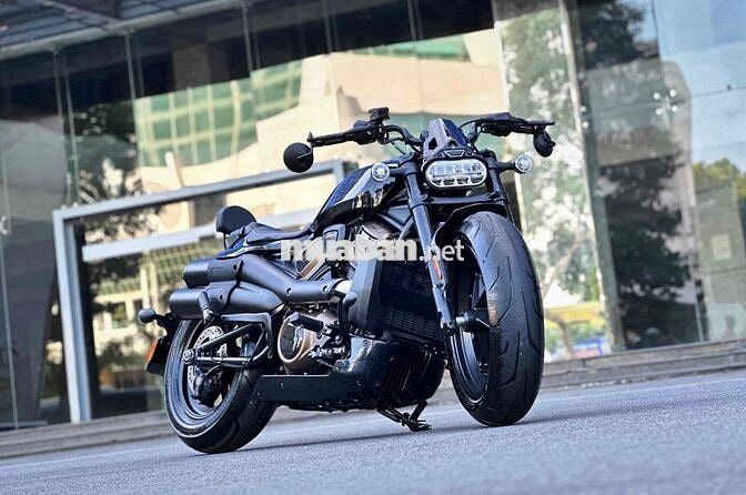 HARLEY SportSter 1250 3/2023