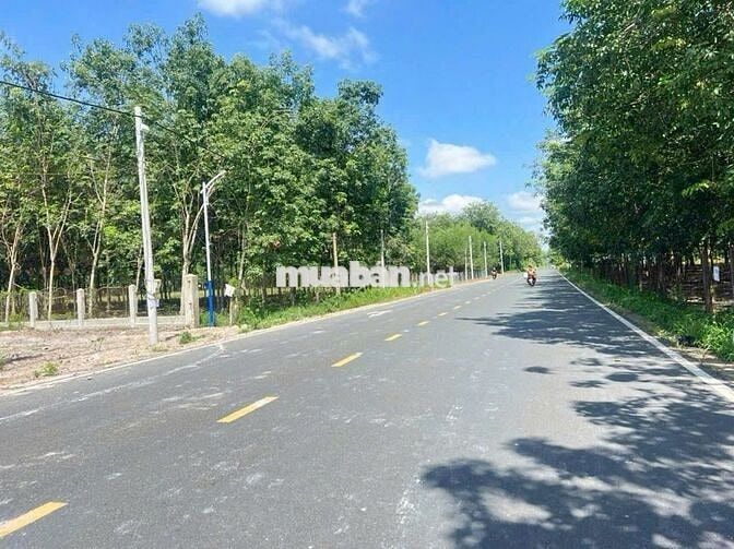281m2 MT đường DH504(32m) kế ngay ủy ban Phước Thành Tp.HCM giá 590tr