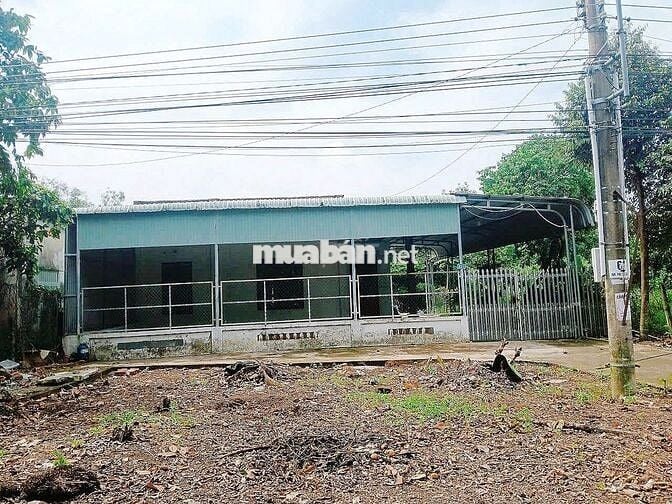Bán đất có sẵn nhà cấp 4 ngay MT đường DH508, 620tr/588,6m2 (100mtc).