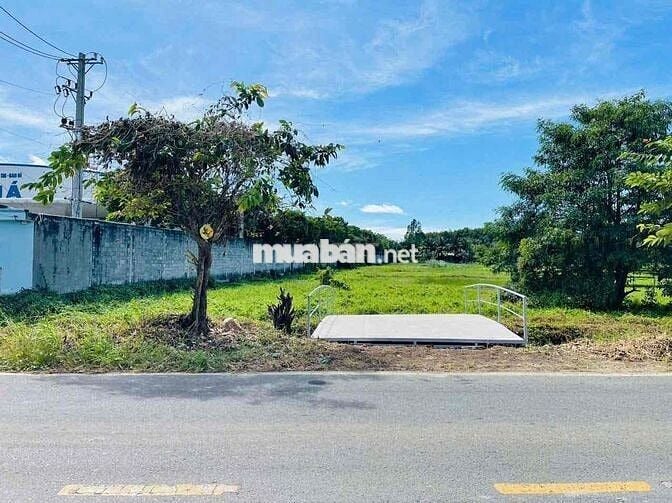 🌿 CƠ HỘI HIẾM – LÔ ĐẤT MẶT TIỀN TL2 QUÁ ĐẸP! 🌿