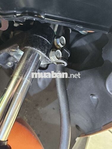 AriBlack Thái Cam Đen ( Chính Chủ Long Xuyên )