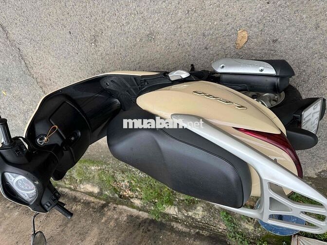 lead bstp 2013 110cc