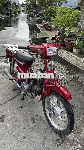 citi 100 máy êm gu mới chát