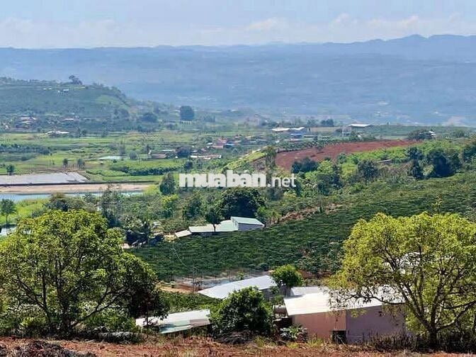 Chủ gửi bán lô đât view đẹp tại Lâm Hà giá chỉ 575tr