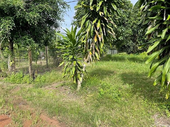 Bán lô đất ở xã đạ oai, lâm đồng