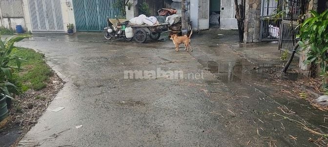 Chỉ hơn 3 tỷ Đất DT: 135m2- Ngày Chợ Gấu, Trịnh Thị Dối, Đông Thạnh 