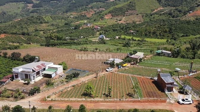 Đất Ven Đà Lạt Giá Chỉ 630 Triệu, SHR, View đồi Thông Mát Mẻ