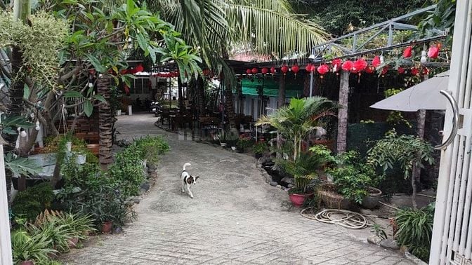Mặt bằng thoáng mát, phù hợp kinh doanh cafe võng, quán ăn,quán nhậu