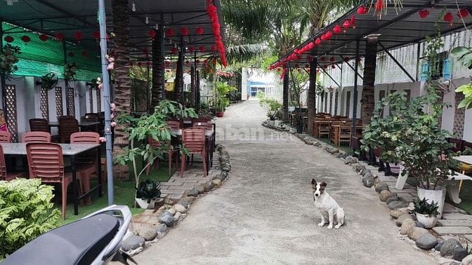 Mặt bằng thoáng mát, phù hợp kinh doanh cafe võng, quán ăn,quán nhậu