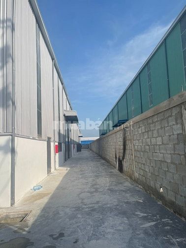 Bán kho xưởng 3.000m2 KCN Đức Hòa, Long An , PCCC tự động, giá:  30 tỷ