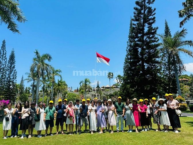 Nhân viên quầy thuốc làm việc tại Nghi Kim, Vinh, Nghệ An