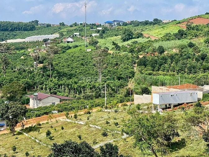 Bán 196m2 đất Nam Ban chỉ 660 triệu, vị trí ngay chính giữa Đà Lạt & s
