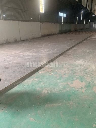 Cho thuê kho Đường Thành Lộc 15, Phường Thành Lộc, Q12 1100m2