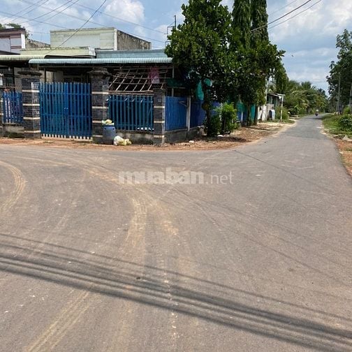 Ket vốn bán nhanh giấy tờ hoàng chỉnh