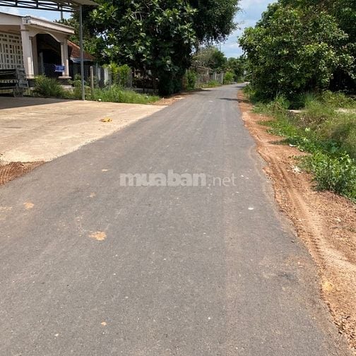 Ket vốn bán nhanh giấy tờ hoàng chỉnh