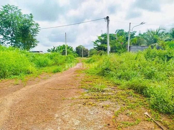 Công ty Đấu giá hợp danh Lam Sơn Sài Gòn THÔNG BÁO ĐẤU GIÁ TÀI SẢN