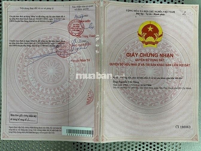 BÁN ĐẤT MẶT TIỀN MỸ PHƯỚC - BÀU BÀNG