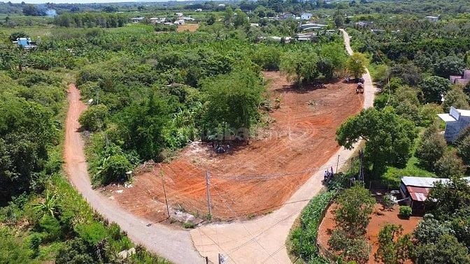 Đất Thổ Cư Sổ Riêng Giá Rẻ Gần KCN Mặt Tiền Bê Tông