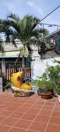 BIỆT THỰ 2 TẦNG MÁI THÁI 567M² – THUẬN GIAO, BÌNH DƯƠNG