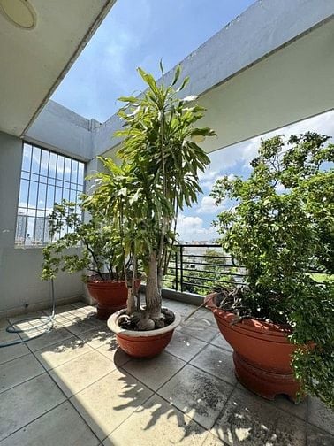 HÀ 4 TẦNG GẦN VẠN PHÚC – GIẢM SỐC 2 TỶ CÒN 11 TỶ 🔥 ✨ Lô góc – hẻm xe 