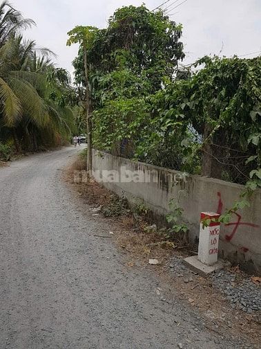 Bán nhà mặt tiền Thích Thiện Hòa, X. Lê Minh Xuân, H.Bình Chánh giá 4.