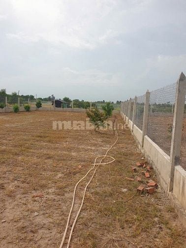 750m2 Đất nền Ấp Bà Canh Xã Tân Thành