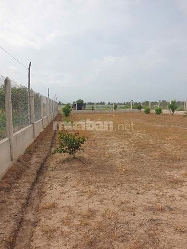 750m2 Đất nền Ấp Bà Canh Xã Tân Thành