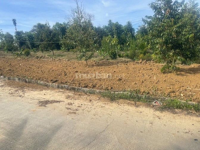 Chỉ với 750 triệu/lô đất tặng ngay vườn trái cây tại Bảo Lộc